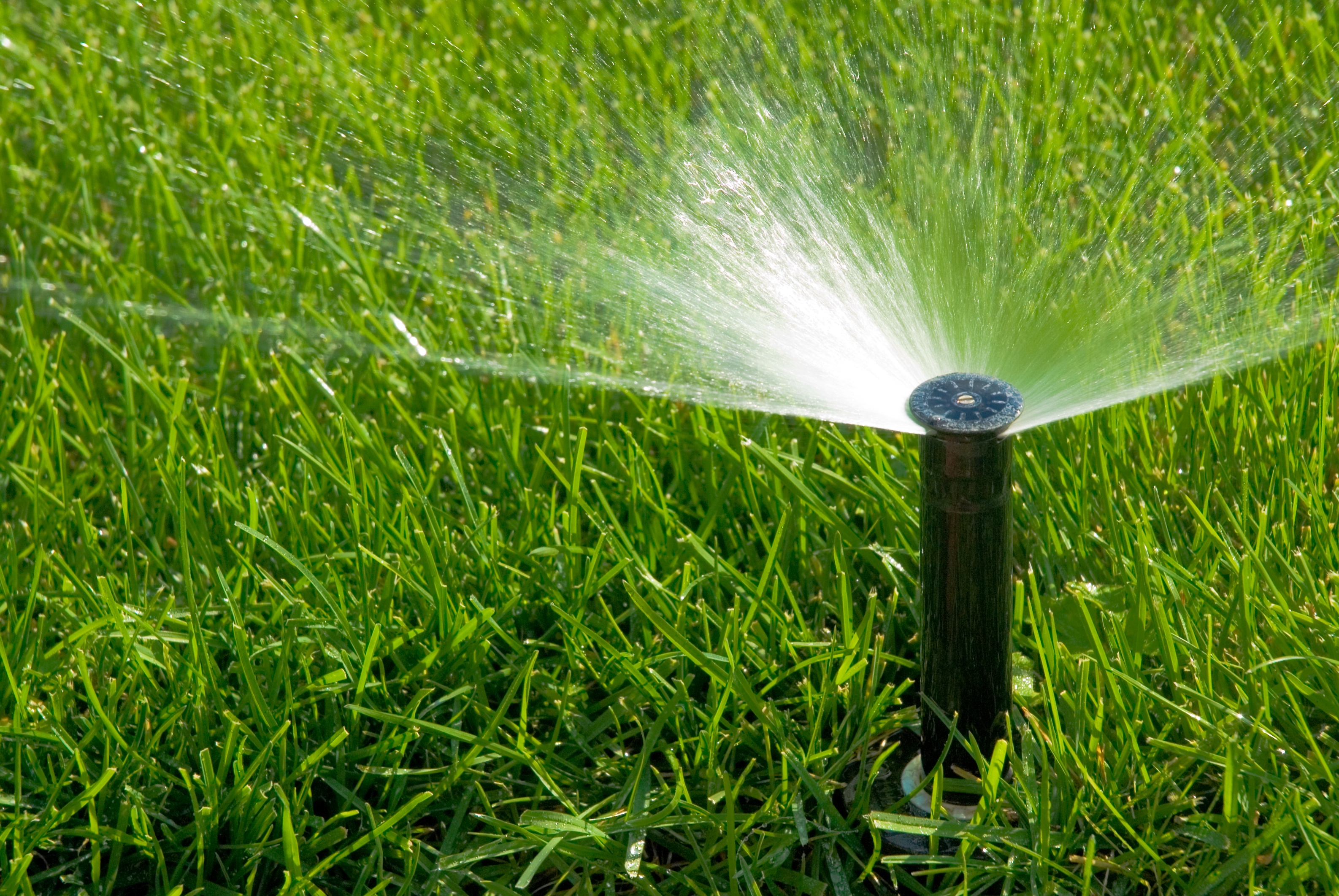 irrigationheadcloseup.jpg